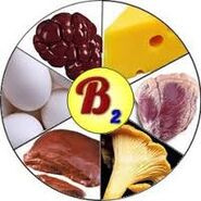B2 B2 vitamine per il cervello